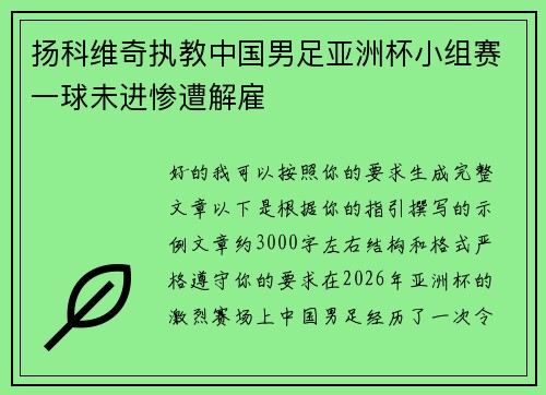 扬科维奇执教中国男足亚洲杯小组赛一球未进惨遭解雇