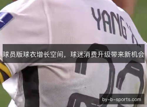 球员版球衣增长空间，球迷消费升级带来新机会